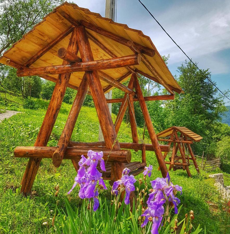 Pensiunea La Bunica Ruginesti Exterior foto